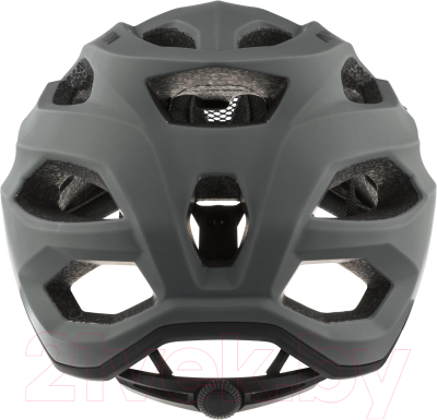 Защитный шлем Alpina Sports 2021 Carapax 2.0 / A9725-34 (р-р 57-62, кофейный/серый матовый)