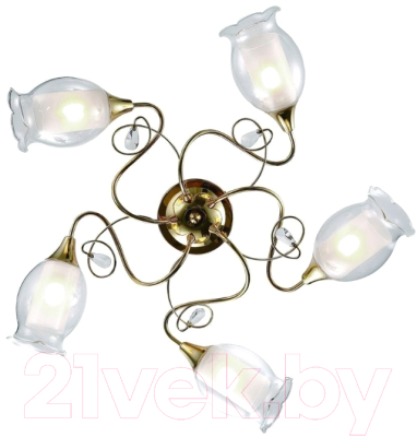 

Люстра Arte Lamp, Mughetto A9289PL-5GO