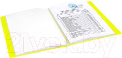 Папка для бумаг Brauberg Neon / 227453 (желтый)