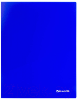 Папка для бумаг Brauberg Neon / 227459 (синий)