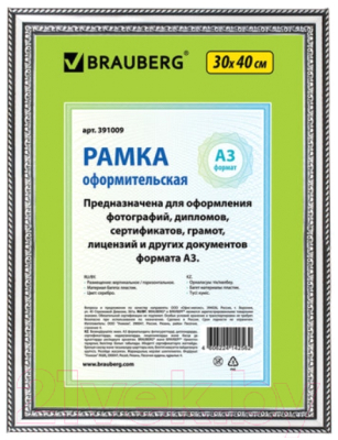 Рамка Brauberg HIT4 / 391009 (серебро)