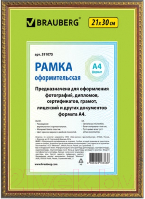 

Рамка Brauberg, HIT5 / 391075