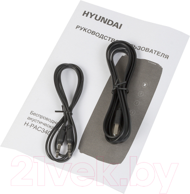 Портативная колонка Hyundai H-PAC340 (черный)