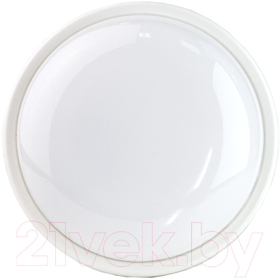 Изображение товара Светильник ЖКХ Glanzen RPD-0003-15