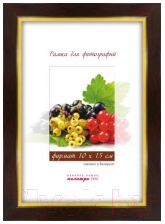 

Рамка ПАЛИТРА, 202/446В 10x15