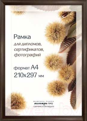 Рамка ПАЛИТРА Д14КЛО/1246 21x30 (коричневый)