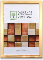 Рамка ПАЛИТРА Д18С 21x30 - 