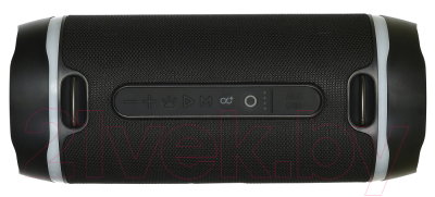 Изображение товара Портативная колонка Digma S-39 (черный)