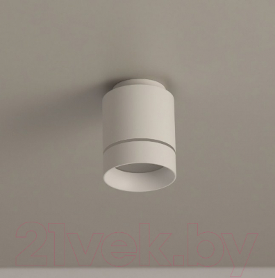 Изображение товара Точечный светильник Citilux Борн CL745010N