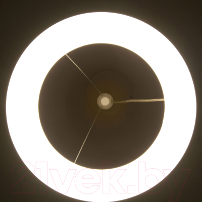 Потолочный светильник Citilux Паркер CL225B110