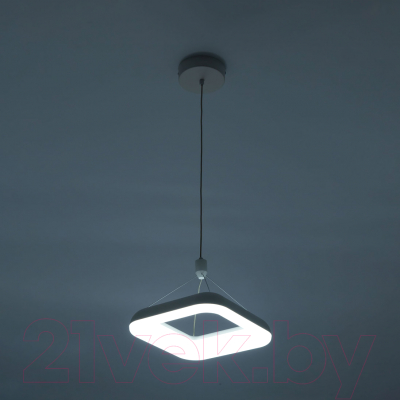 Изображение товара Потолочный светильник Citilux Паркер CL225B210