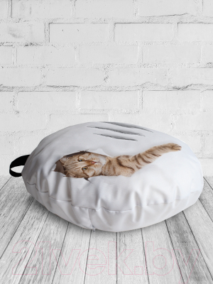 Подушка декоративная JoyArty Кот с царапиной / dsfr_31202