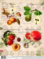 Декупажная карта Geronimo Ботаническая иллюстрация фрукты / TD25A4-00136 - 