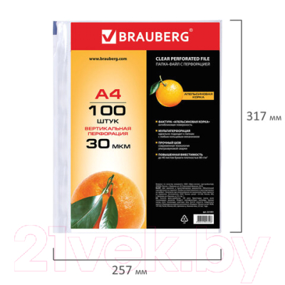 Набор файлов Brauberg А4 / 221991 (100шт)