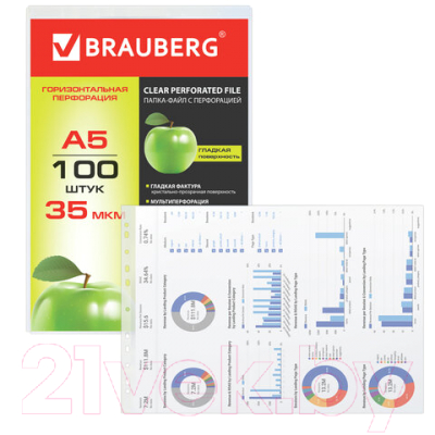 Набор файлов Brauberg А5 / 223085 (100шт)