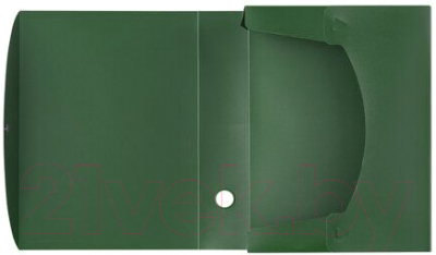 Коробка архивная Staff 237277 (зеленый)