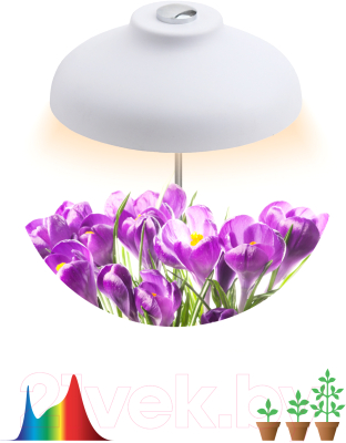 Светильник для растений ЭРА FITO-12W-FLED / Б0039068
