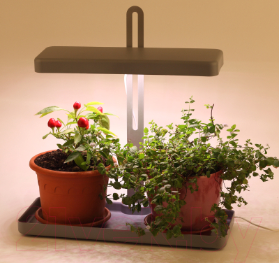 Светильник для растений ЭРА FITO-20W-QLED-G / Б0039035