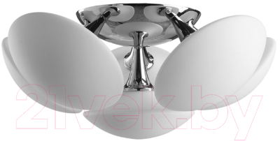 

Люстра Arte Lamp, Aqua-Sfera A2550PL-6CC
