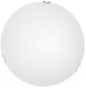 Потолочный светильник Arte Lamp Plain A3720PL-2CC - 