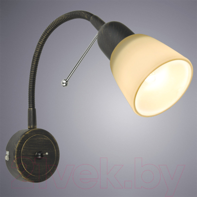 Спот Arte Lamp Lettura A7009AP-1BR