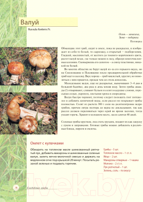 Книга Эксмо Про грибы. Как правильно собирать и готовить (Ильина Т.)