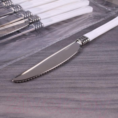 Изображение товара Набор столовых ножей Darvish DV-H-616-C (24шт, металлик/белый)