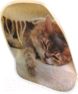 

Накидка на автомобильное сиденье JoyArty, Кошачий комфорт / cspr_9642