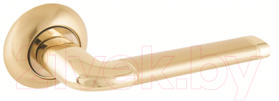 Ручка дверная Аллюр Арт Поло 1576 SB/PB (матовое золото/золото)
