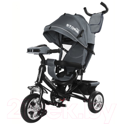

Детский велосипед с ручкой Baby Tilly, Storm T-349/2