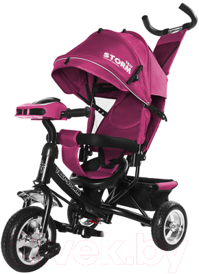 

Детский велосипед с ручкой Baby Tilly, Storm T-349/2