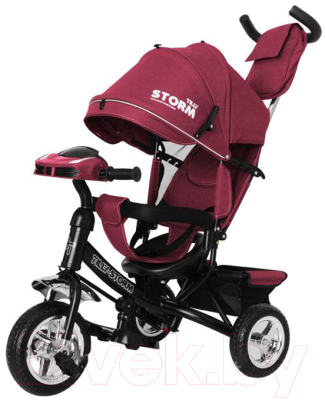 

Детский велосипед с ручкой Baby Tilly, Storm T-349/2