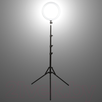 Кольцевая лампа Era LRT-1210 Kit MoonLight / Б0049153