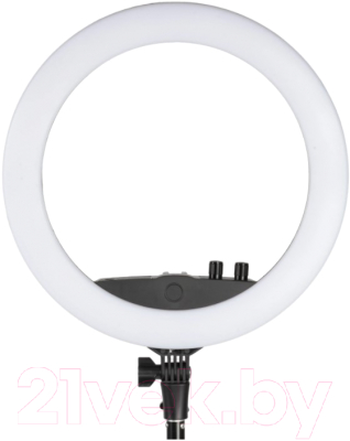 Кольцевая лампа Era LRT-1324 Kit MoonLight / Б0049154