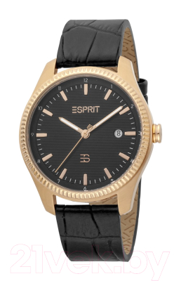 Часы наручные мужские Esprit ES1G241L0035