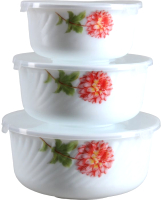 

Набор контейнеров Rosenberg, R-230254