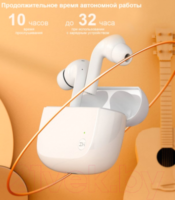 Беспроводные наушники ZMI PurPods Wireless Earphone TW101ZM / ZMKTW101GLLS