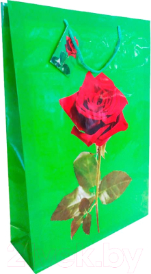 

Пакет подарочный Canpol, Джамбо / TG-40