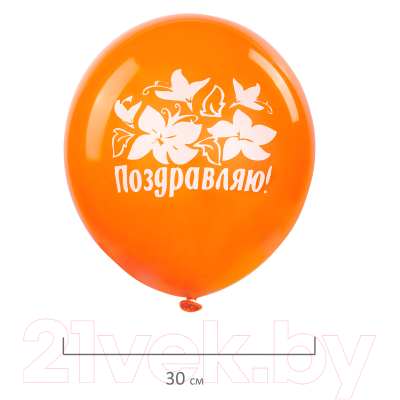 Набор воздушных шаров Золотая сказка Поздравляю / 105006
