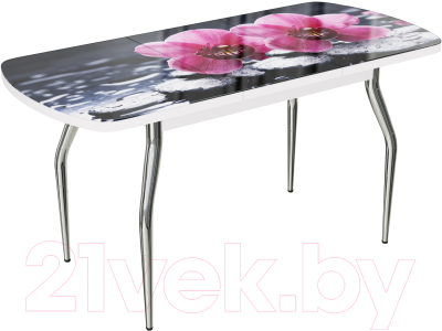 Обеденный стол ВВР Прямоугольный раздвижной (стекло фотопечать орхидея на камне/подстолье изогнутое)