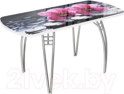 Обеденный стол ВВР Прямоугольный раздвижной (стекло фотопечать орхидея на камне/подстолье паук)