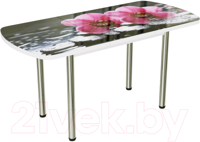 Обеденный стол ВВР Прямоугольный раздвижной (стекло фотопечать орхидея на камне/подстолье прямое ваниль)