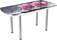Обеденный стол ВВР Прямоугольный раздвижной (стекло фотопечать орхидея на камне/подстолье прямое серый) - 