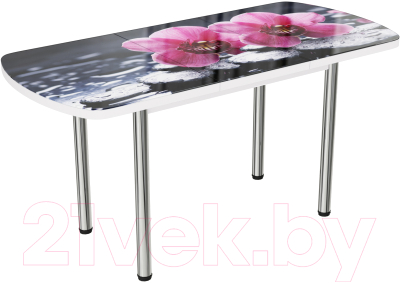 Обеденный стол ВВР Прямоугольный раздвижной (стекло фотопечать орхидея на камне/подстолье прямое хром)