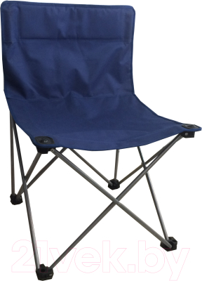 

Стул складной Аналитика, 10564