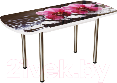 Обеденный стол ВВР Прямоугольный раздвижной (стекло фотопечать орхидея на камне/подстолье прямое шоколад)