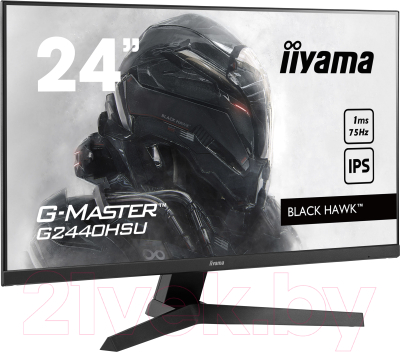 Монитор Iiyama G2440HSU-B1 (черный)