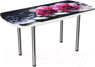 Обеденный стол ВВР Прямоугольный раздвижной (стекло фотопечать орхидея на камне/подстолье прямое черный)