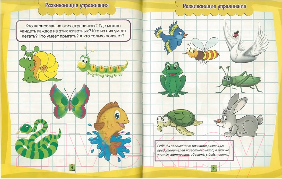 Развивающая книга Харвест Расширяю кругозор и развиваю воображение (Струк А.) — фото 2
