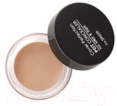Консилер The Saem Cover Perfection Pot Concealer 01 Clear Beige (4г)